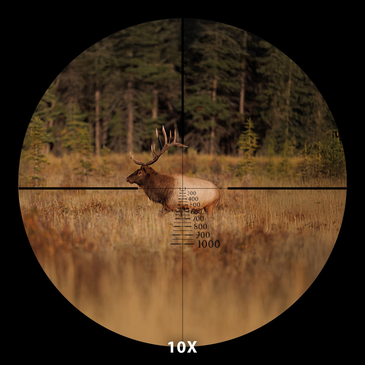 Focal Scope 5-20X First Focal Plane Scope – Quigley-Ford