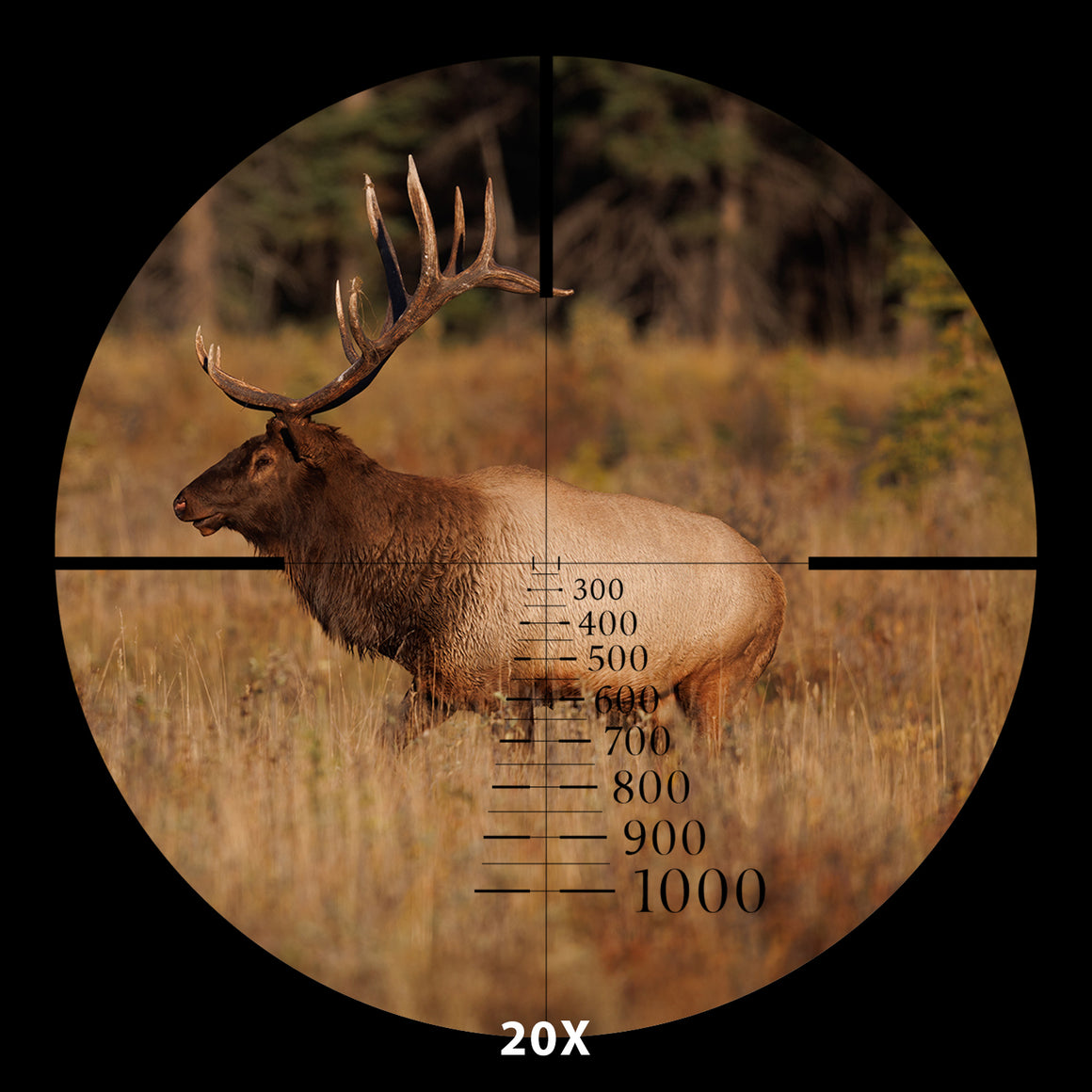 Focal Scope 5-20X First Focal Plane Scope – Quigley-Ford