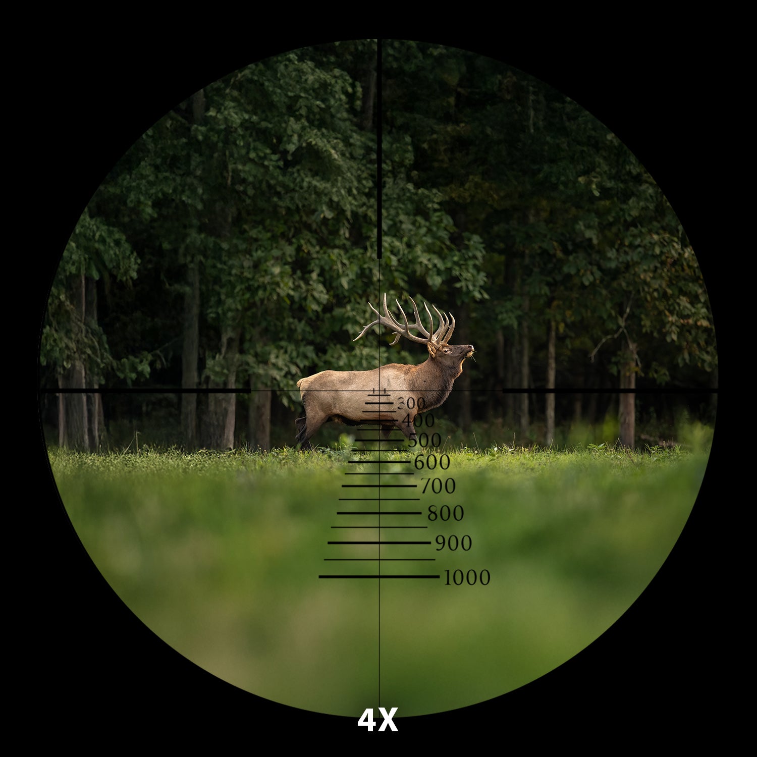 Focal Scope 4-16x Second Focal Plane Scope – Quigley-Ford