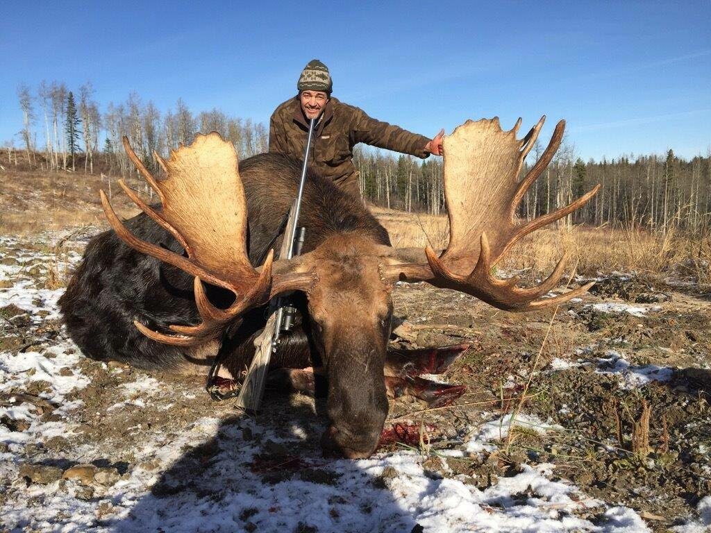 J Skanes Bull Moose with Quigley Ford Scope