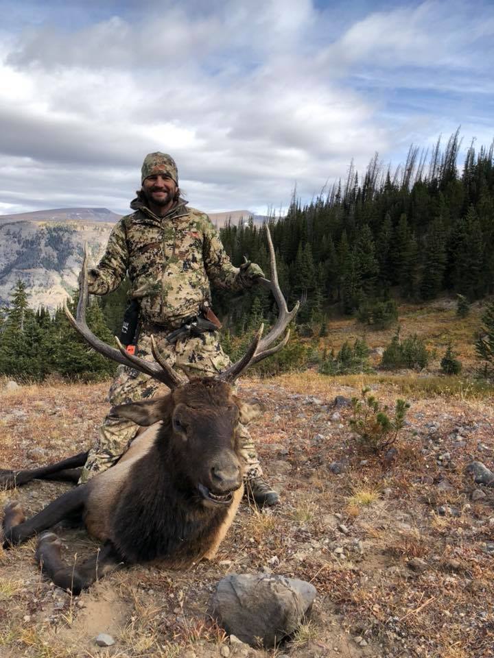 Elk with Quigley Ford Scope