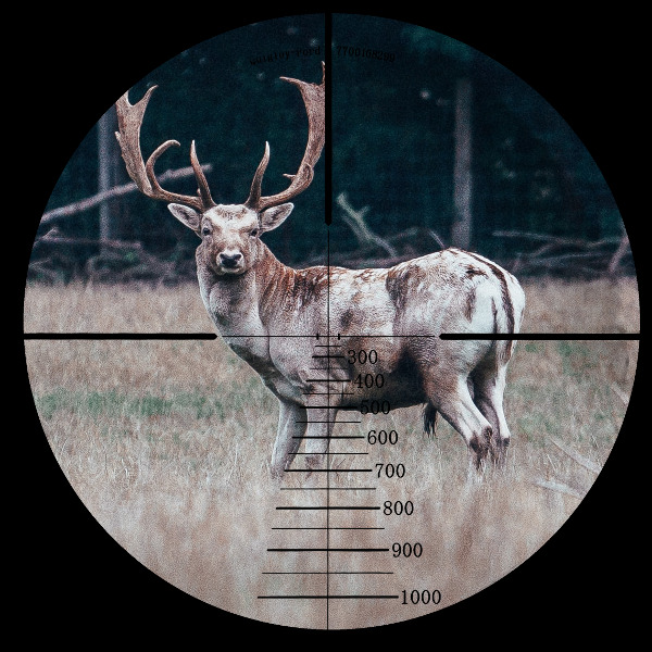 second focal plane scope at 20X power