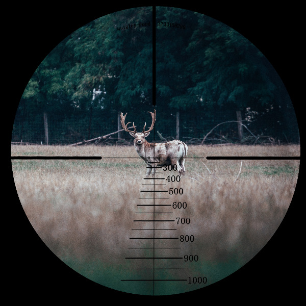 second focal plane scope at 5X power