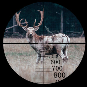 Dual Focal Plane Scope at 20X power