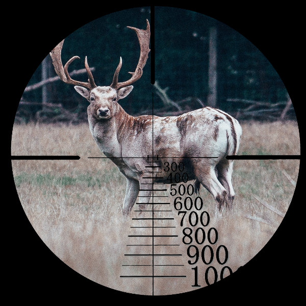 first focal plane scope at 20X power